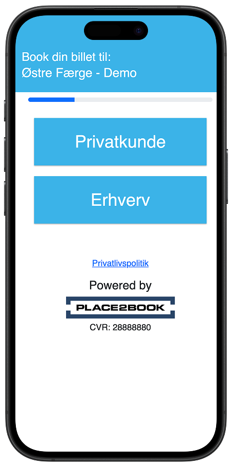 Skærmbillede: vælg Privatkunde eller Erhverv